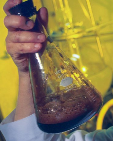 Sample of black liquor. (Source: Wikipedia.org)