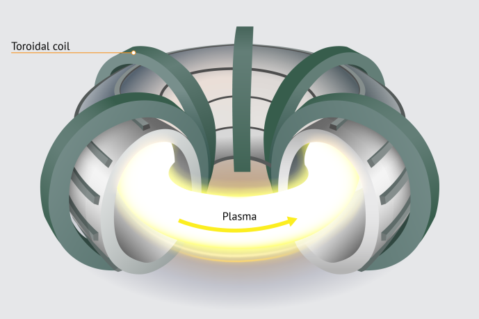 Toroidal coils (green) around tokamak chamber. (Source: © zombiu26 / stock.adobe.com)